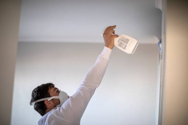 Best Fast Mold Removal  in Glenwood, IL