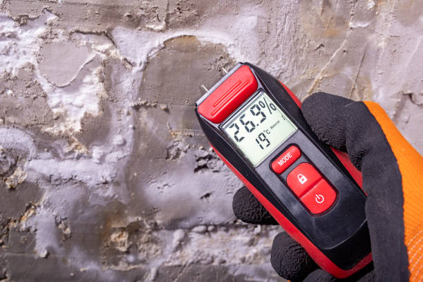 Best Attic Mold Removal  in Glenwood, IL