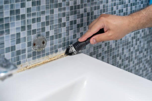 Professional Mold Removal in Glenwood, IL